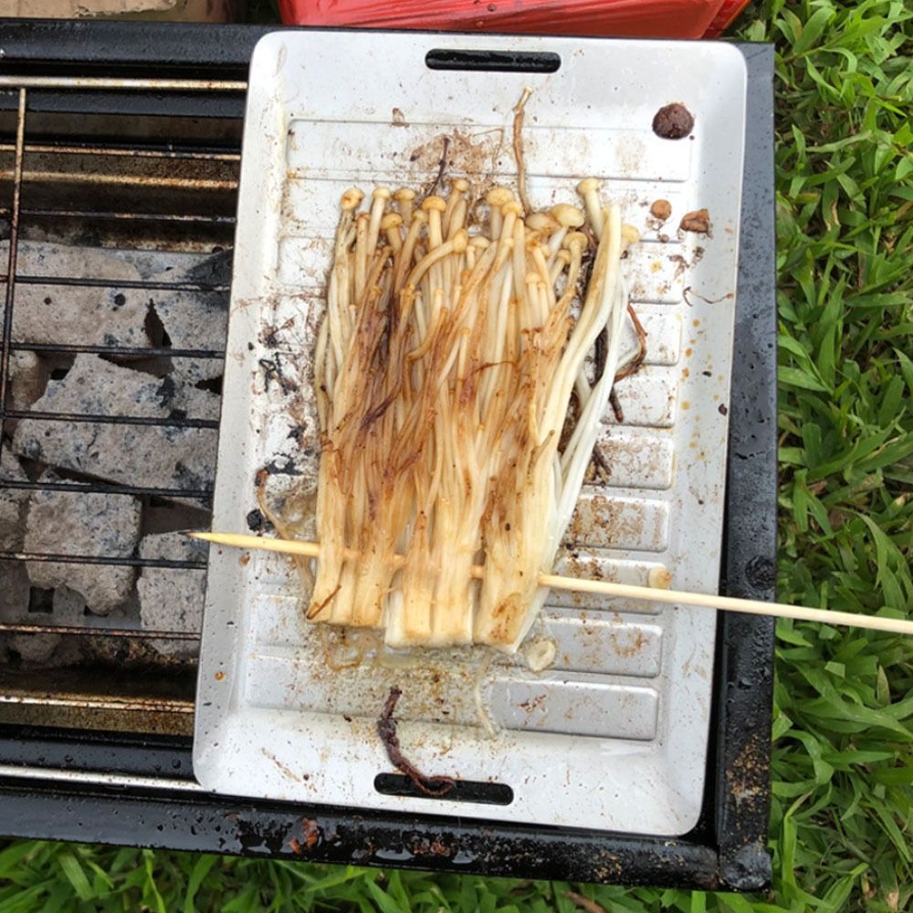Durable Titanium Camping Grill - Camping Cooking Lightweight ulasan dan harga