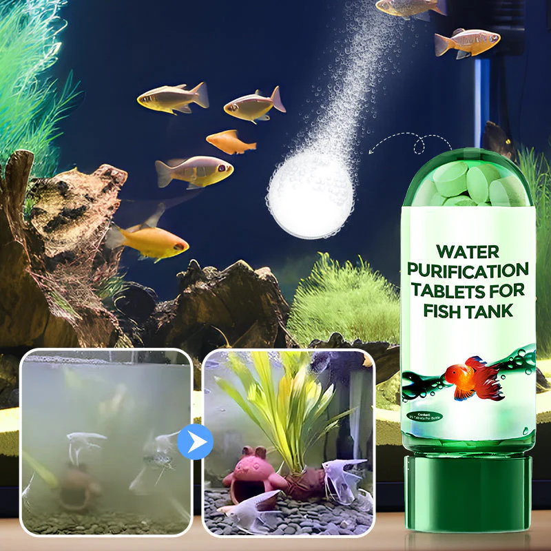 Water Purification Tablets Eco - Water Purification Tablet ulasan dan harga